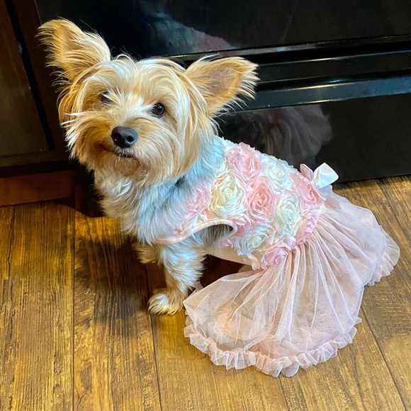 Meet your Posher, Kimberly - Picture 1 of 1